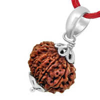 12 Mukhi Rudraksha Silver Pendant - Gender: Male
