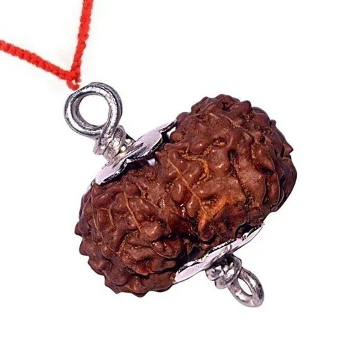 13 Mukhi Rudraksha Silver Pendant - Gender: Male