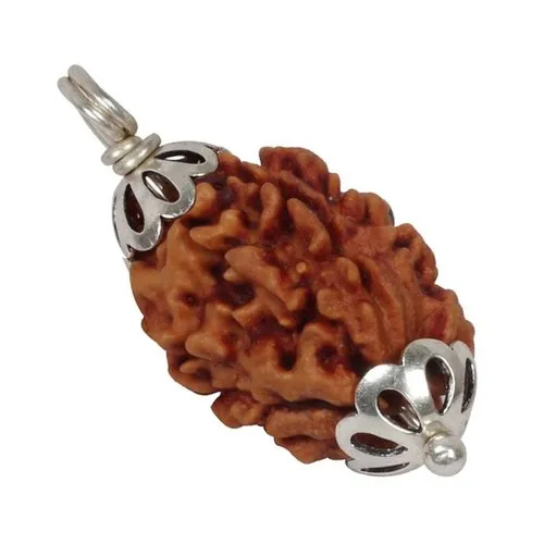 3 Mukhi Rudraksha Silver Pendant - Gender: Male