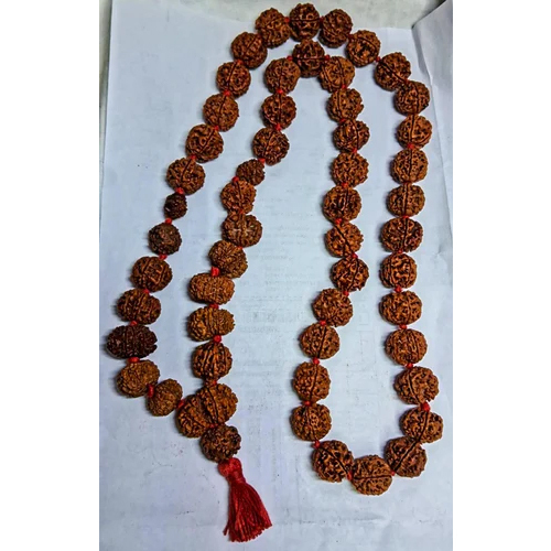 Natural Nepali Rudraksha Siddha Mala - Occasion: Daily Wear