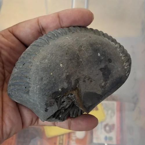 Shree Mahavishnu Shaligram