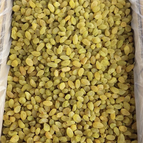 Green Dried Raisin