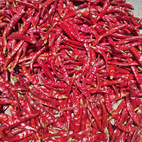 तेजा लाल मिर्च डंडी के साथ