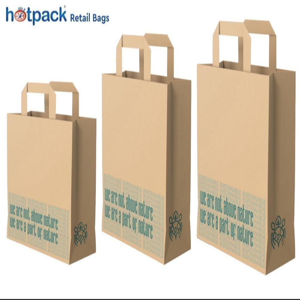 Hotpack Nature Brown Small Paper Bag (180 x 120 x 200 mm, 500 Nos)