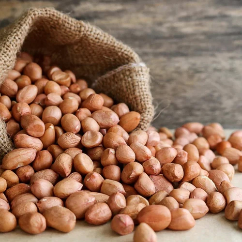 Natural Raw Peanuts - Food Grade, Fresh Style - Brown Color, Common Cultivation, 12 Months Shelf Life, Vinegar Preserving Compound