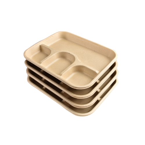 8 CP Meal Disposable Plates