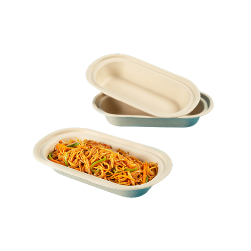 500 ml Container (Disposable Tableware)