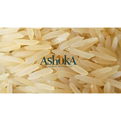 Basmati 1509 Golden Sella Rice - Cultivation Type: Common