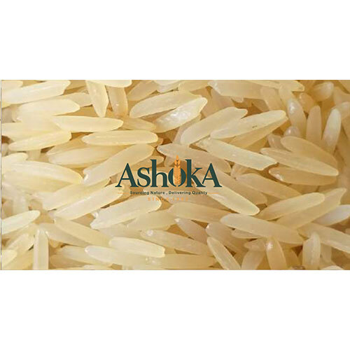 Basmati 1401 Golden Sella Rice - Cultivation Type: Common