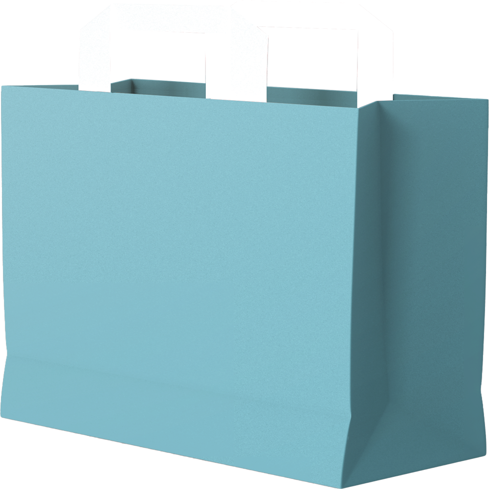 Hotpack Cool Blue Paper Bag (240X125X360 mm, 500 Nos)