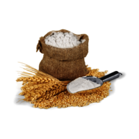 Whole Wheat Flour - 25kg/50kg Bag, Stone-ground Chakki Method, Chemical-free, Ideal For Indian Chapati, Paratha And Tandoori Roti