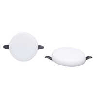 Led Cob Smart Light - Application: Indoor/outdoor