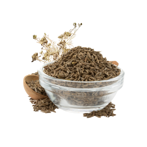 Cumin Seed