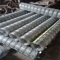 Chain Link Fencing