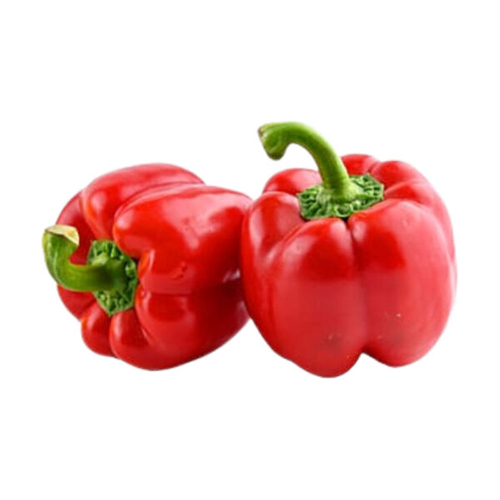 Hydroponic Red Bell Pepper