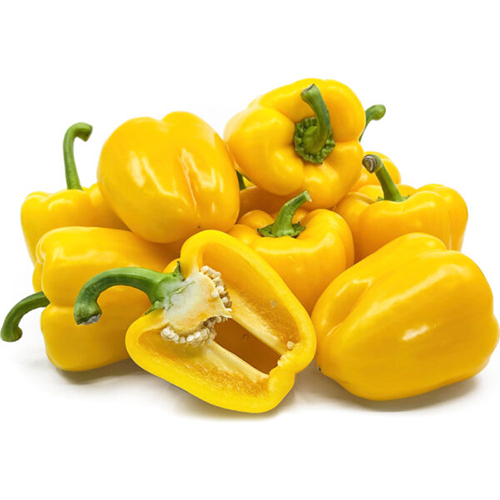 Hydroponic Yellow Bell Pepper - Preserving Compound: Storing Both The Ziplock Or Vacuum-Sealed Bags Flat In The Freezer