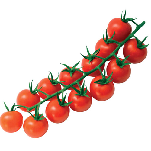 Cherry Tomato - Preserving Compound: Storing Both The Ziplock Or Vacuum-Sealed Bags Flat In The Freezer