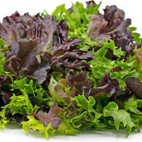 Mixed Lettuce - Preserving Compound: Store It In A Plastic Container With Paper Towels In The Crisper Drawer Of Your Fridge