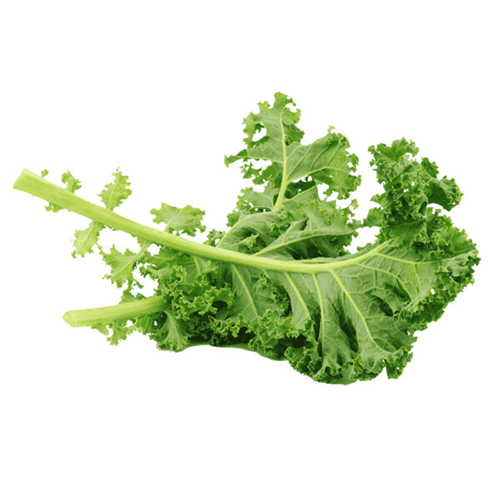 Fresh Kale