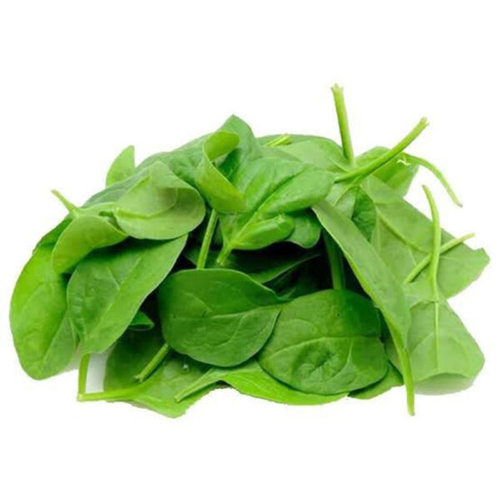 Baby Spinach Leaves