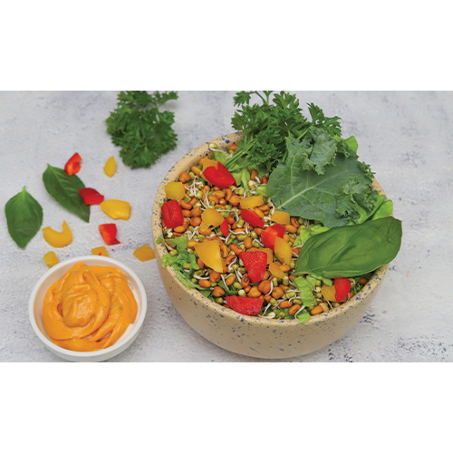 Sprout Salad