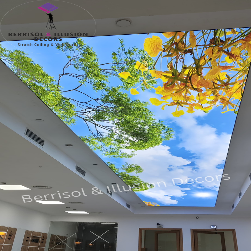 Printed Round Stretch Ceiling