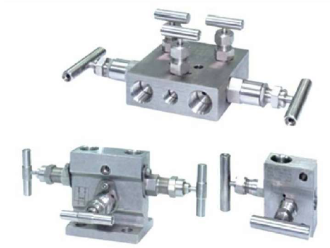 ExLok Manifold Valves - Stainless Steel, Compact and Durable Design | Multi-Function, Leak-Proof Performance