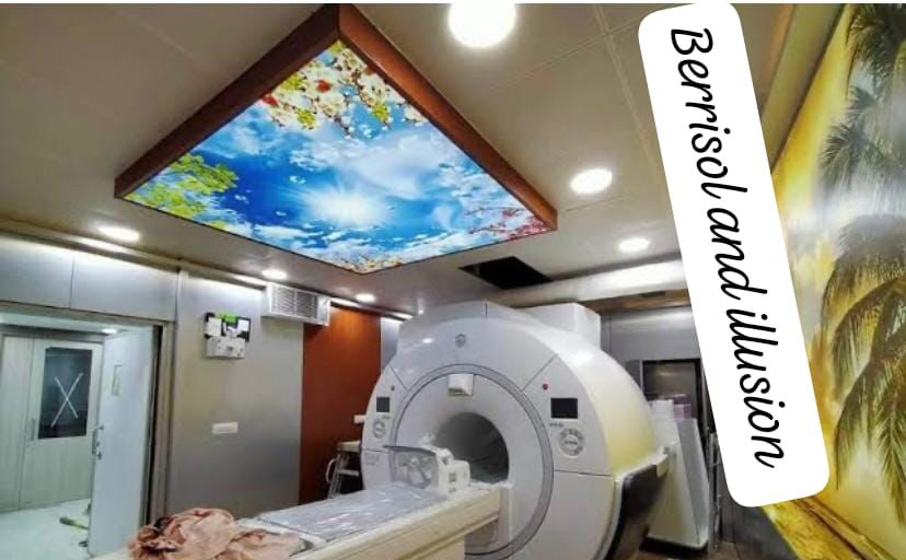 Oval Design Stretch Ceiling - 2-8 Millimeter Thickness Customizable Shapes & Textures Moisture-resistant Elegance