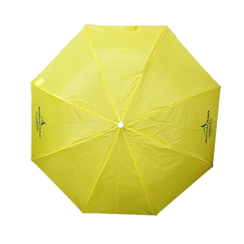Automatic Open Lemon Umbrella