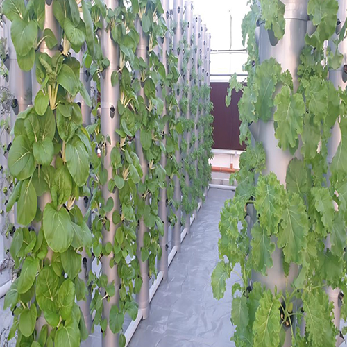 Hydroponic Farm Setup - Cultivator Type: 3 Prong Cultivator