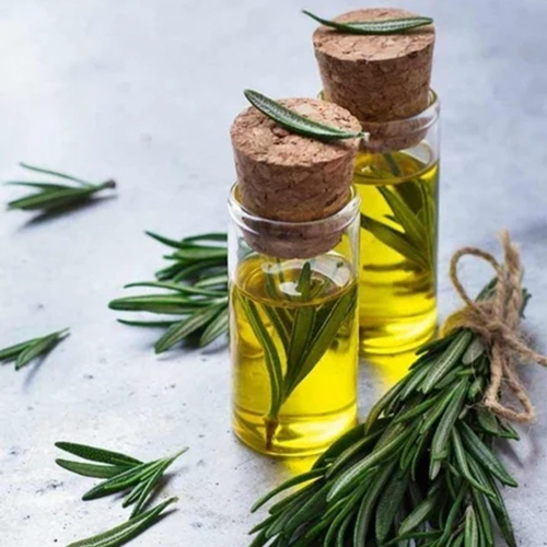 Rosemary Essential Oil - Purity: 99%