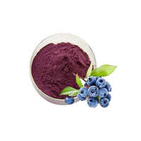 Blueberry Extract Powder - Product Type: Herbal Product