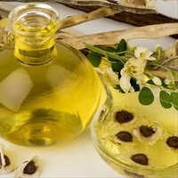 Organic Moringa Oil - Purity: 99%