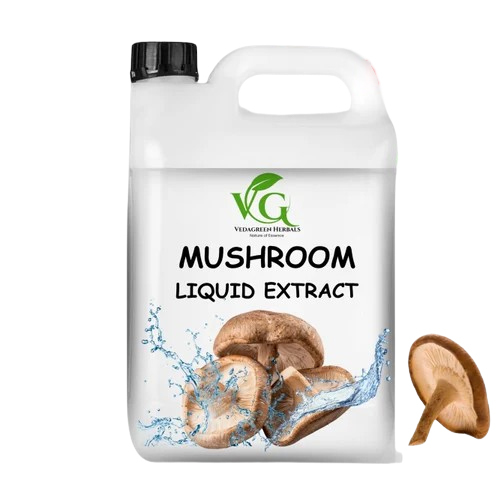 Mushroom Extract Liquid