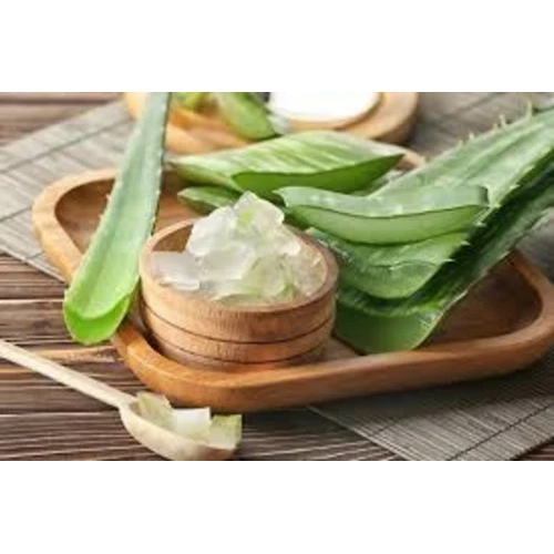 Barbadensis Aloe Vera Extract