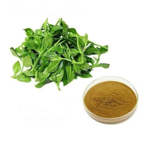 Kalmegh Extract
