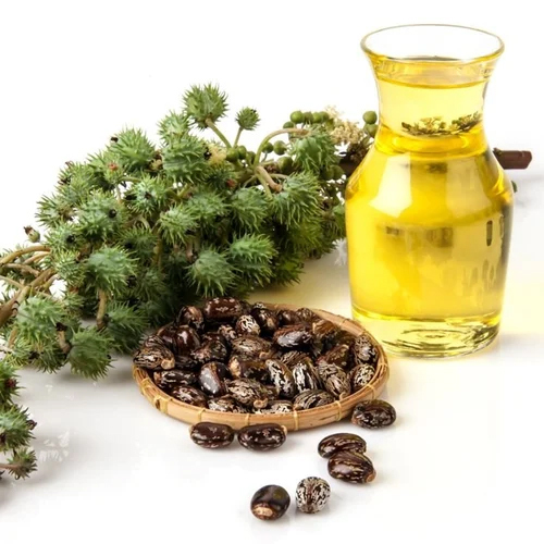 Castor Oil Cold Pressed