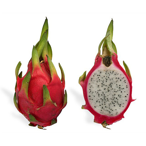 Dragon Fruit - Color: Pink