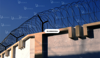 Razor Tape Concertina Coil Fencing Wire