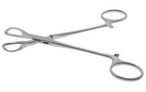 Lane's Tissue Forceps - Dimension (L*w*h): 8*3*6 Inch (In)