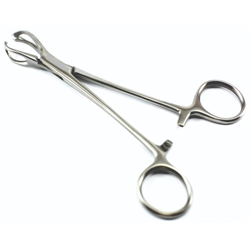 Lane's Tissue Forceps - Dimension (L*w*h): 8*3*6 Inch (In)
