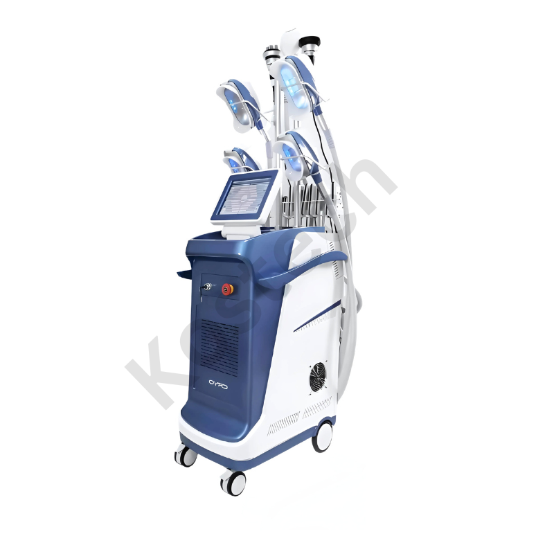360 cryolipolysis
