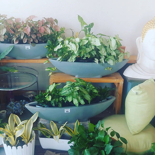 Boat Shape Planter