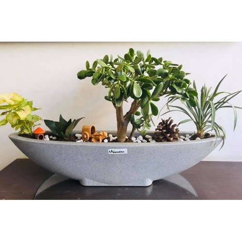Boat Shape Planter