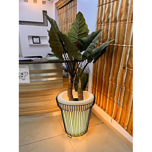 Led Bell Step Planter - Color: White