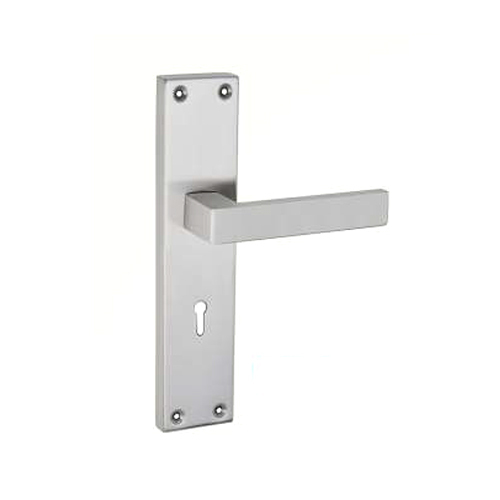RS-903 SS Mortice Handle