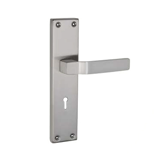 Thumb SS Mortice Handle