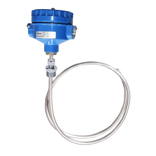 Rtd Head Type Thermocouple - Color: Blue