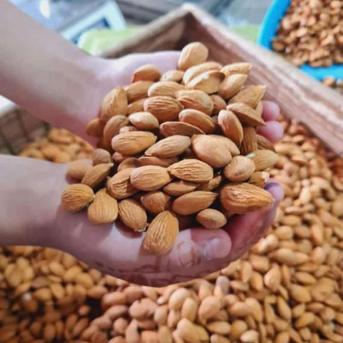 Almonds Nut