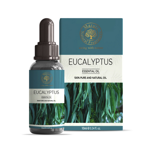 Eucalyptus Essential Oils - Odour:: Fresh